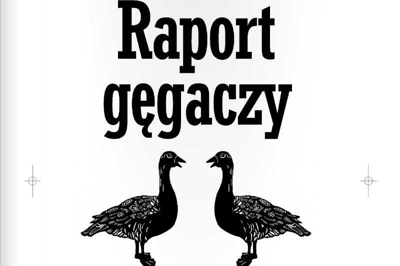 Książka "Raport gęgaczy" stawia sobie za zadania obnażyć manipulacje PiS.