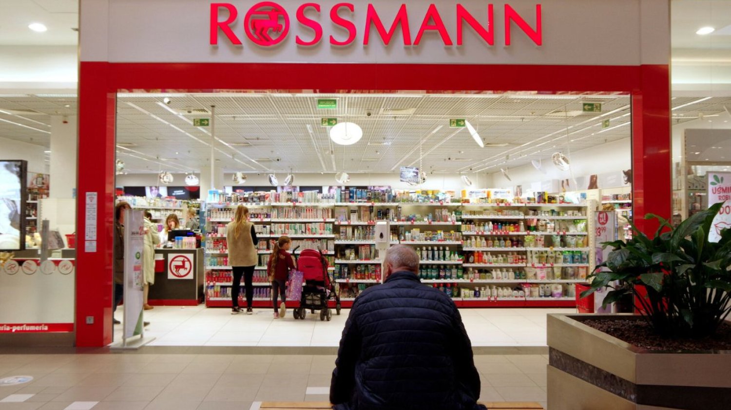 Akcja "Podaruj misia" ponownie w Rossmannie. Środki wspomogą dzieci Wyjątkowe misie po raz 19. w Rossmannie. Dochód zostanie przekazany na szczytny cel