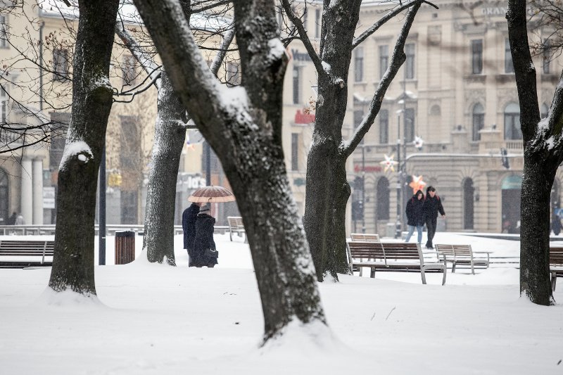 Tak było 16 grudnia 2018 roku w Lublinie. W tym roku śniegu nie ma, temperatura ok. 10 st. C.