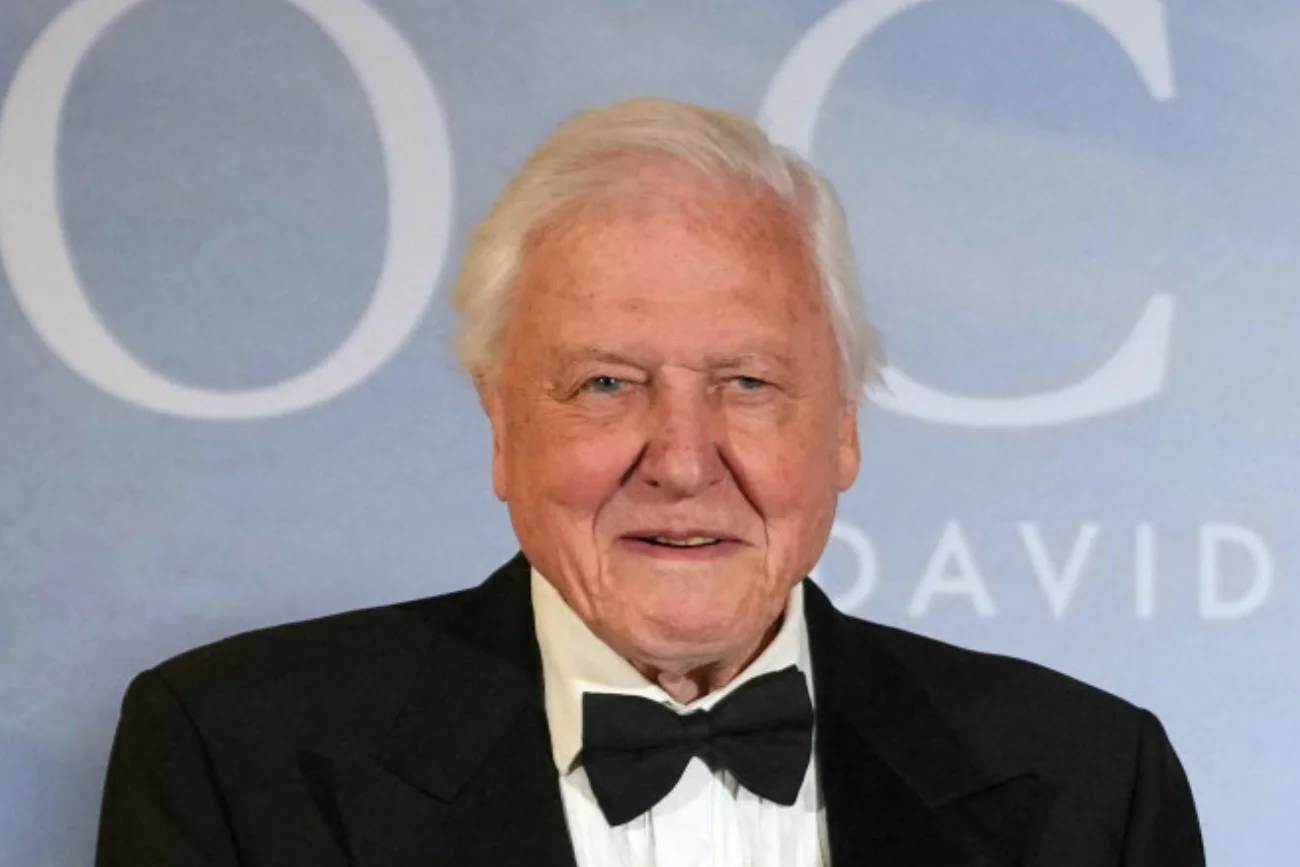 David Attenborough kończy 99 lat i wydaje nowy film przyrodniczy.