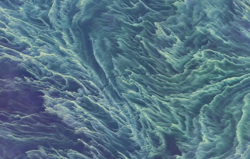 Zdjęcia Bałtyku zrobione przez NASA robią wrażenie.