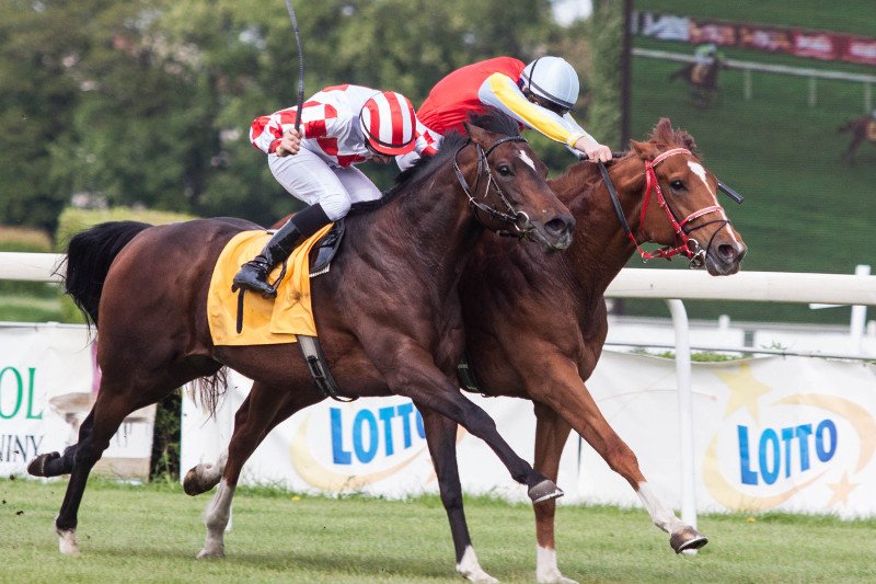 Wyścigi konne nie są rozrywką dla bogaczy.