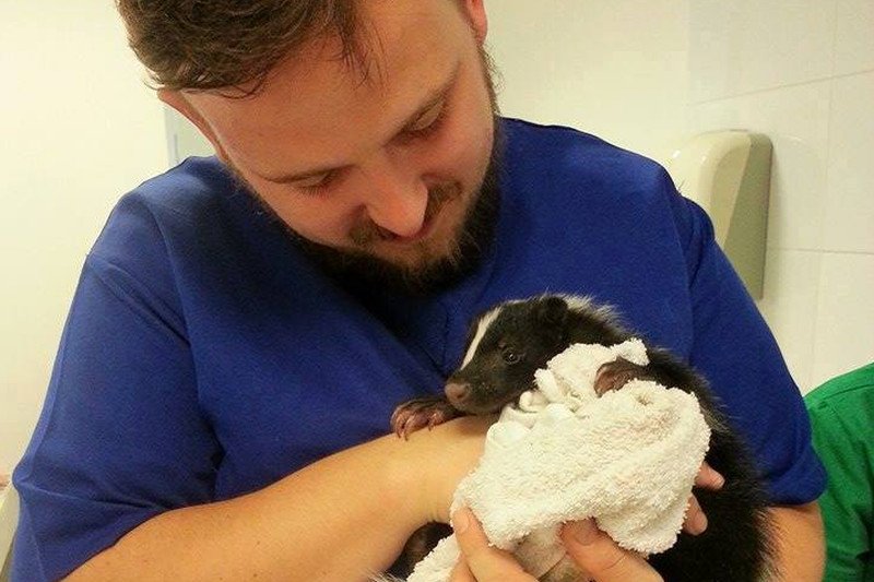 Przemysław Łuczak ma dość rozdawania zwierząt pod choinką.