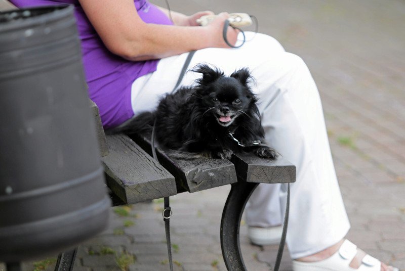 W wielu czeskich miastach taki widok to rzadkość.