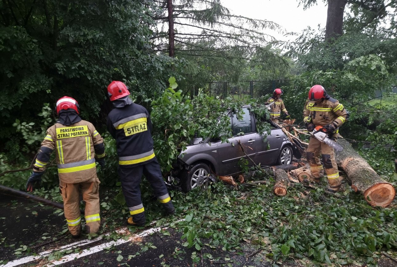 Ile osób zginęło po czwartkowych wichurach? Pierwsze ofiary Niżu Hendrik.