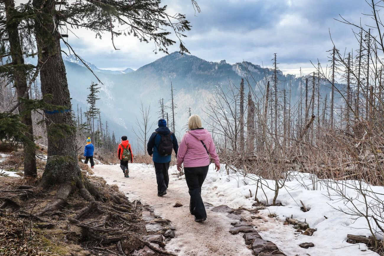 Apel TPN do turystów. Coraz częściej wnoszą psy w plecakach na obszar Tatr.