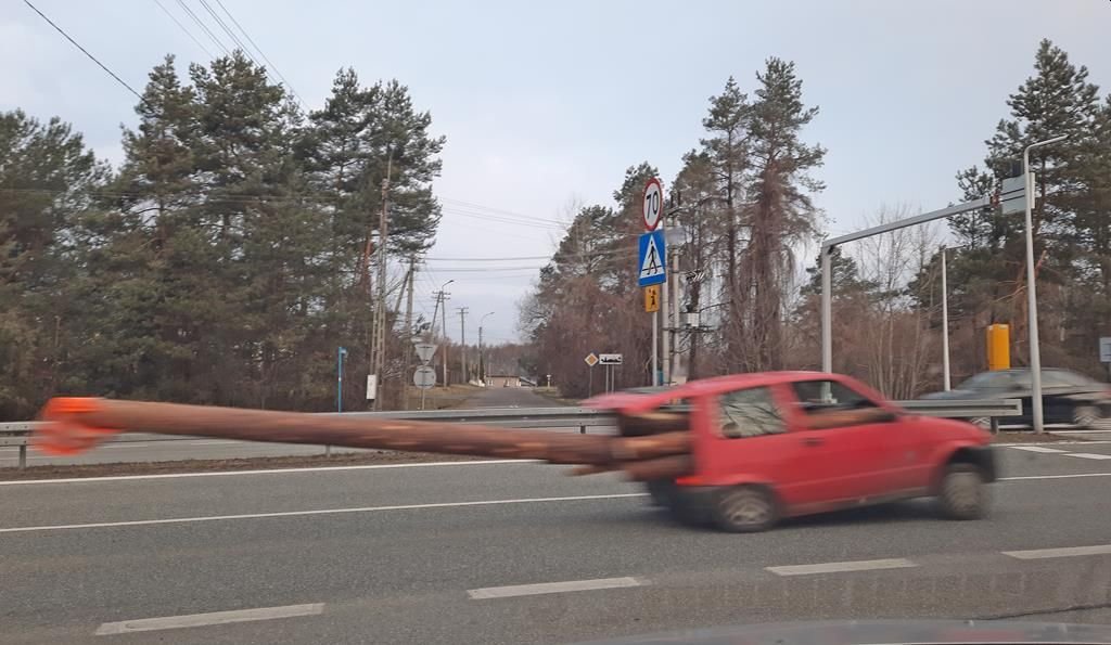 Kiierowca wiózł cinquecento długie bale drewna.