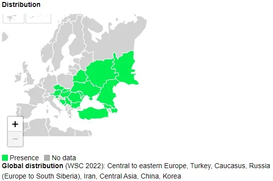 Gdzie występuje Lycosa singoriensis?