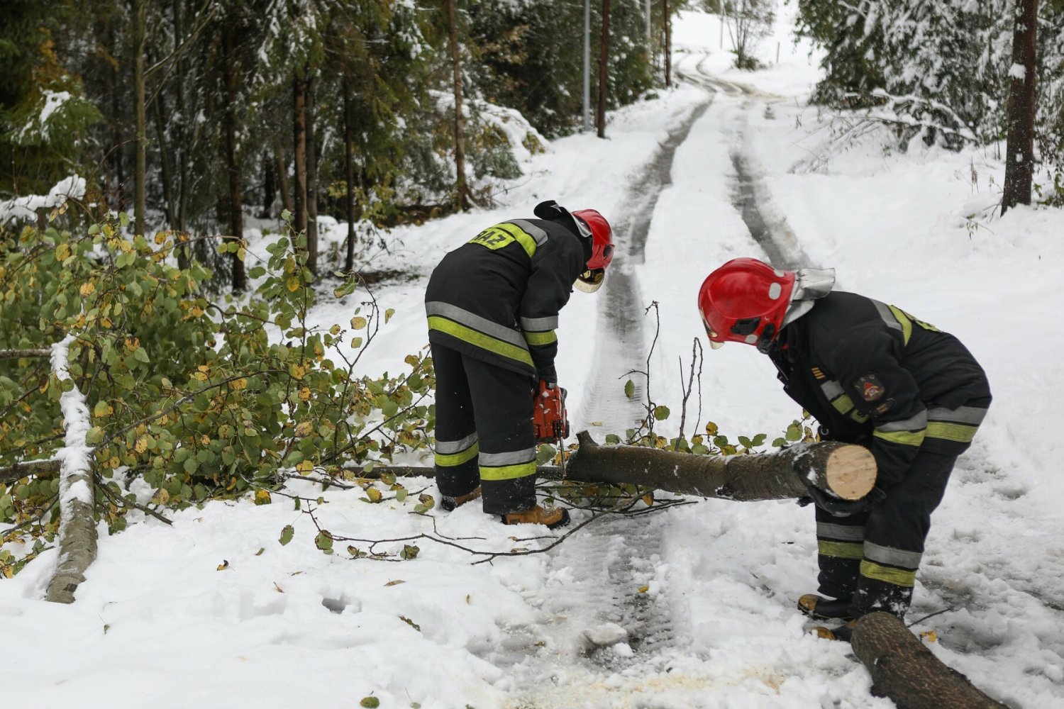 Na Polskę nadciągnął Orkan Nadia. Będzie bardzo mocno wiać.
