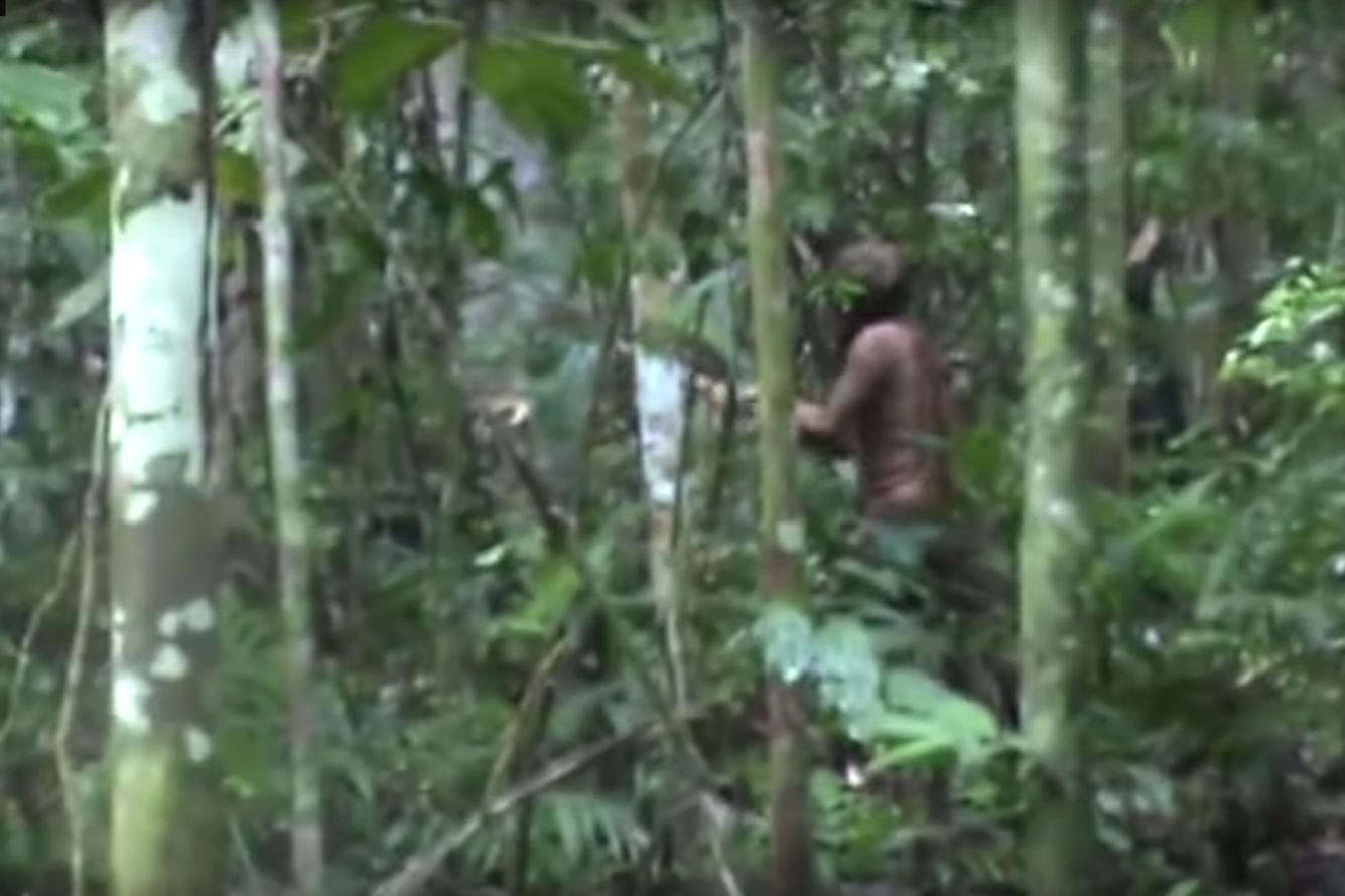 Ostatni członek wybitego plemienia z Amazonii ma się dobrze