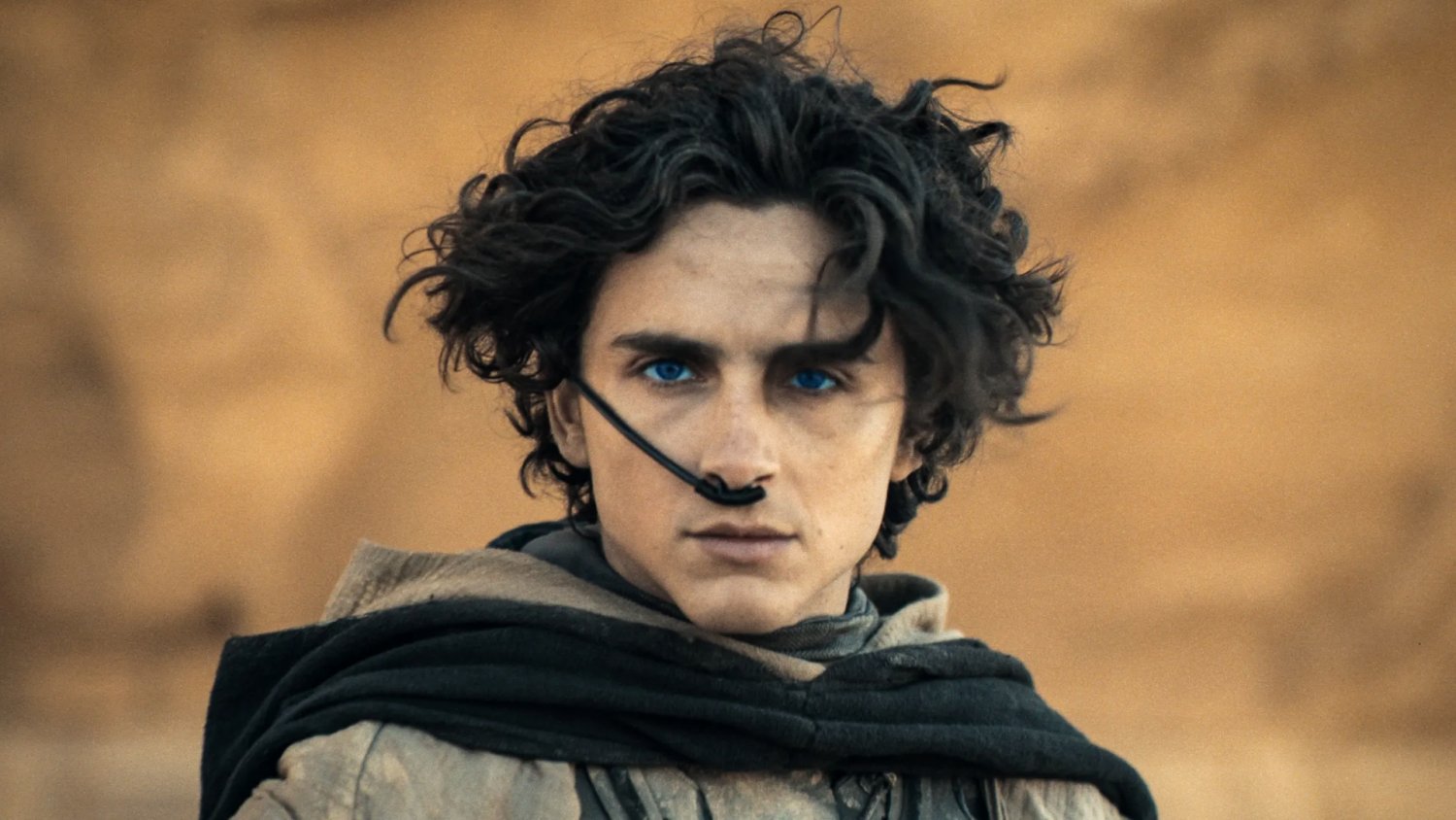 "Diuna 3" będzie inna od reszty filmów. Słowa Chalameta są ulgą dla fanów