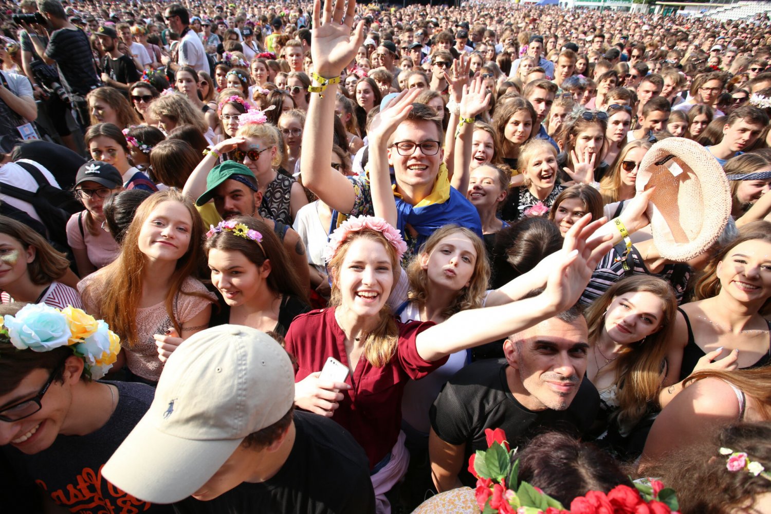 Orange Festival 2024