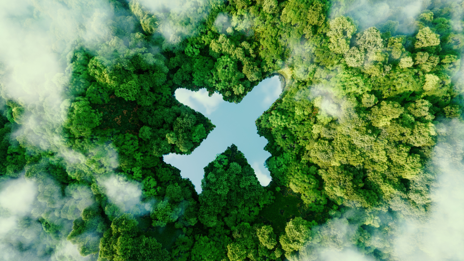 Zrównoważone podróże służbowe. Nowy obowiązek zamień w realną szansę dla firmy