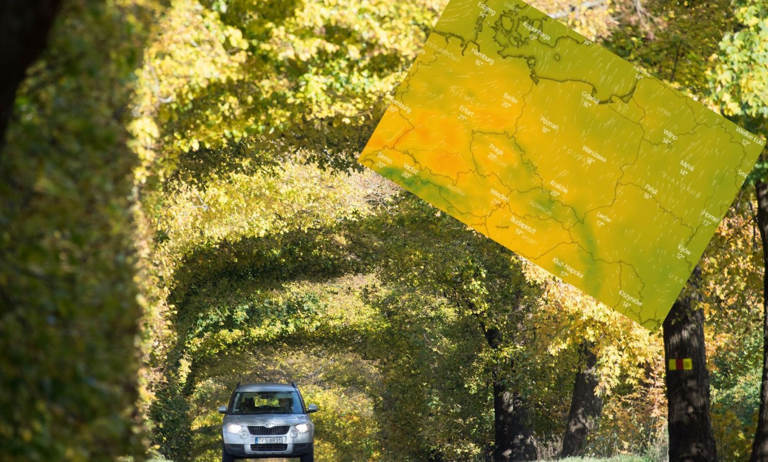 Niebawem termometry mają pokazać nawet 22 stopnie powyżej zera.