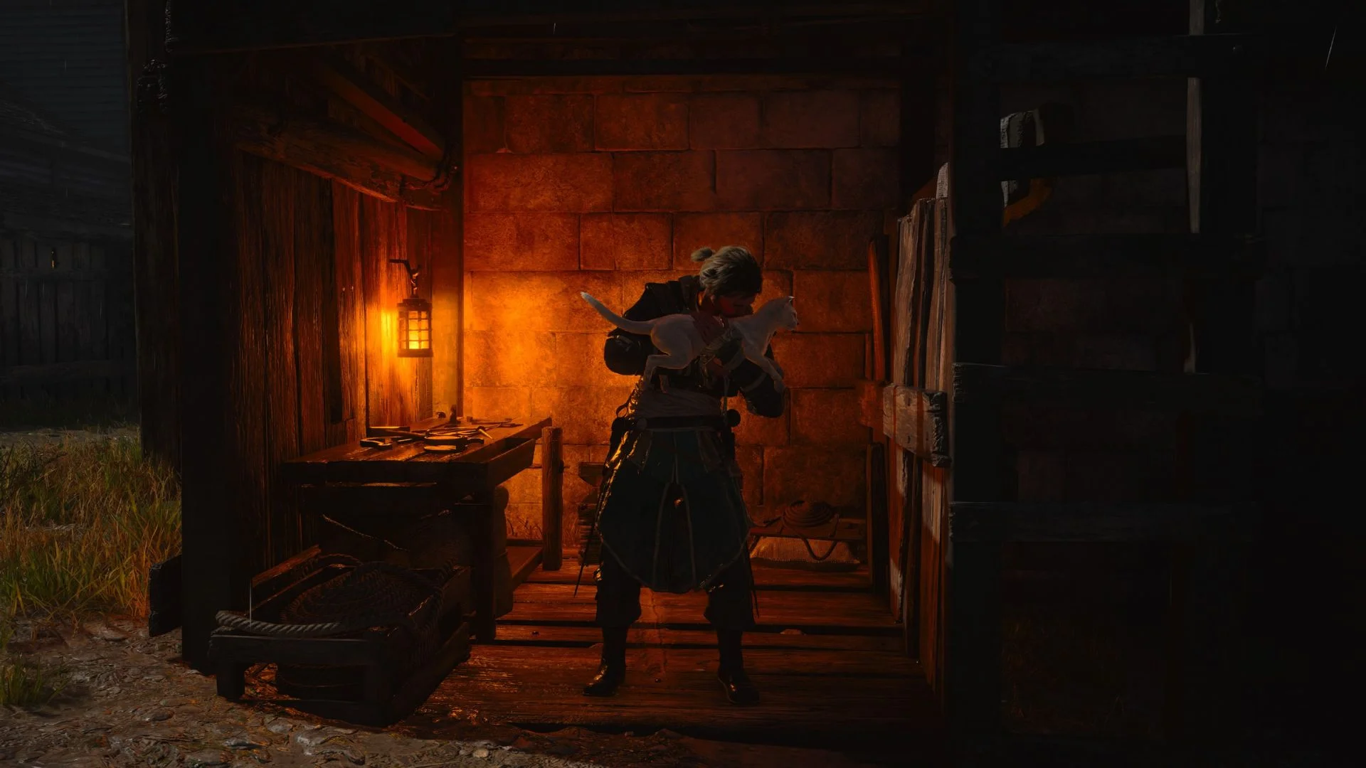 Głaskanie zwierząt w nowej grze Assassin's Creed Głaskanie kotów to świetna zabawa w nowej odsłonie Assassin's Creed Black Flag Resynced