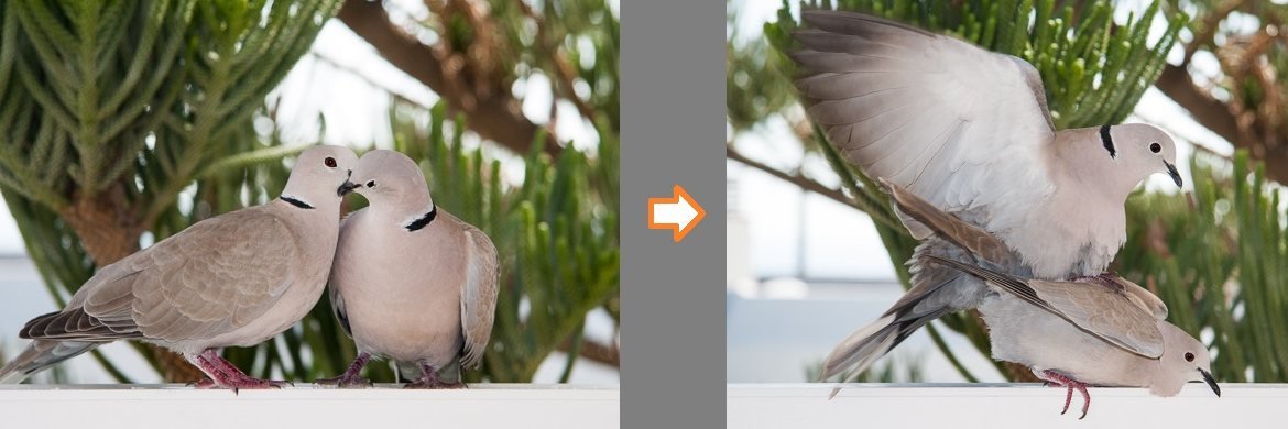 Chcę go - jak mu to powiedzieć? Część trzecia