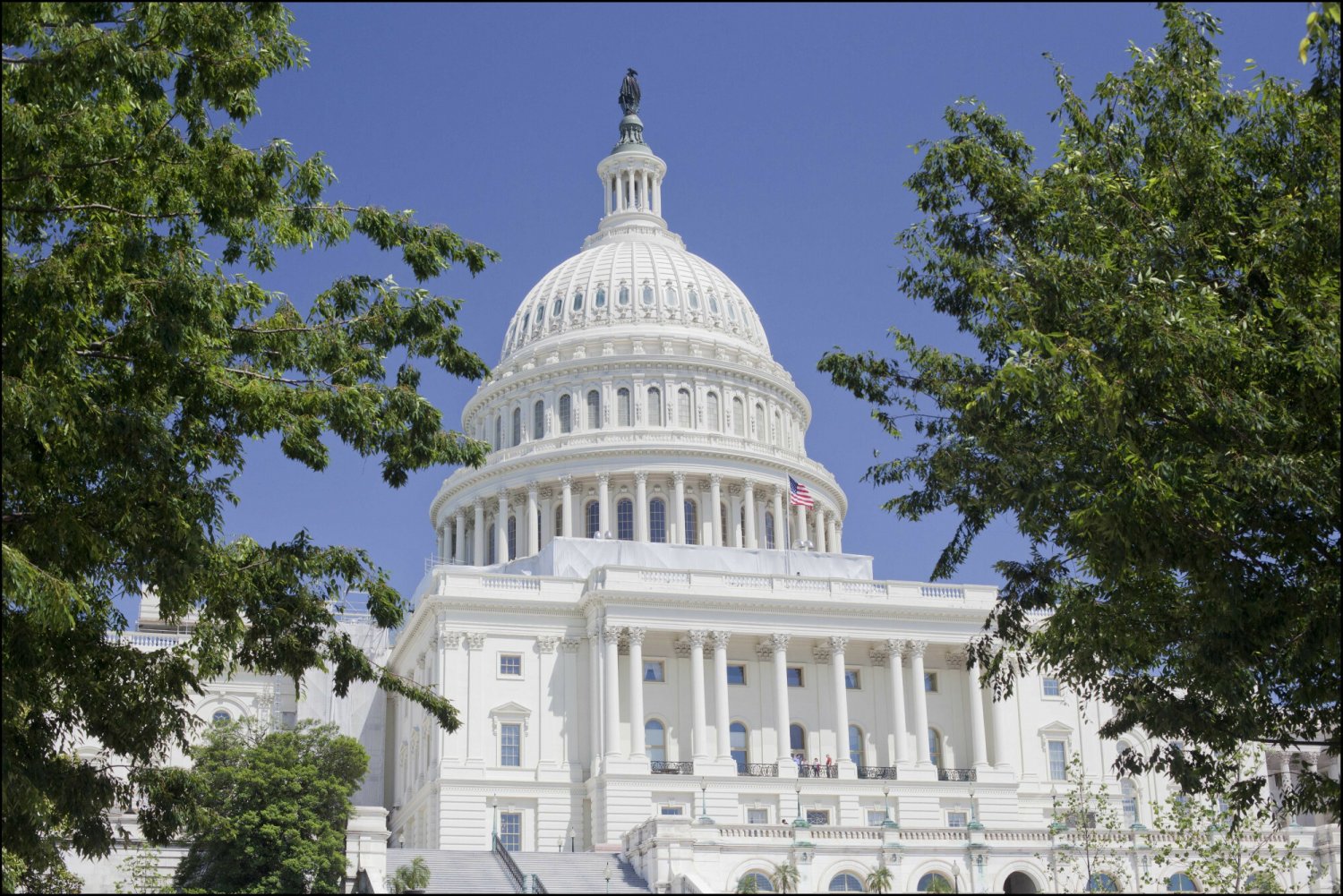 Republikanie przejmują większość w Senacie – wynika ze wstępnych wyników i ankiet wyborczych w kluczowych stanach.