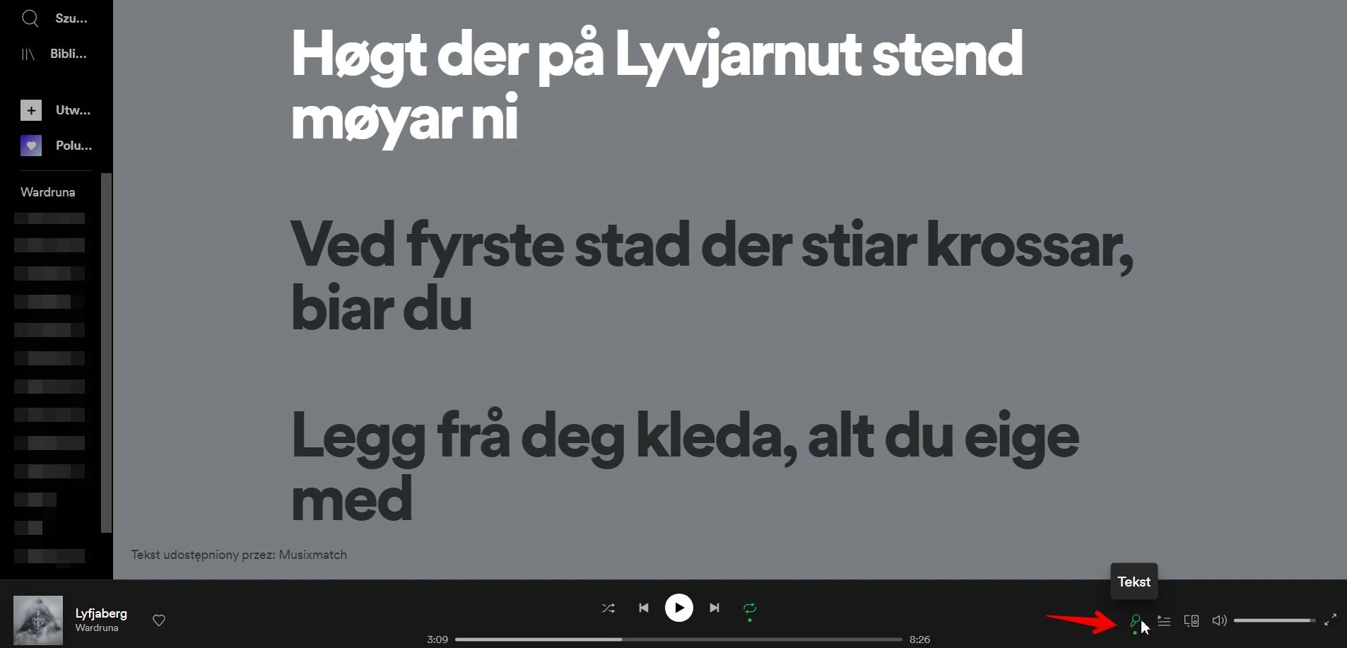 Teksty piosenek na Spotify w wersji komputerowej to możliwość stworzenia domowego karaoke!