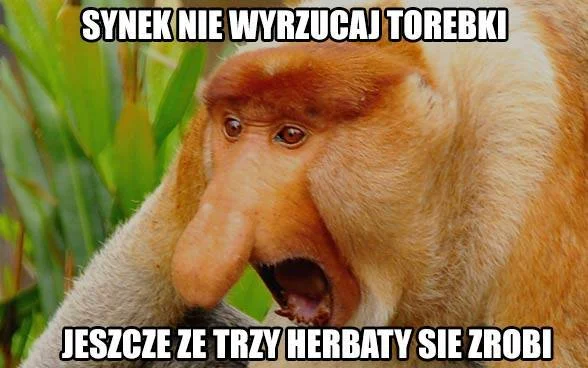 Oszczędność przede wszystkim! Nawet kosztem jakości.