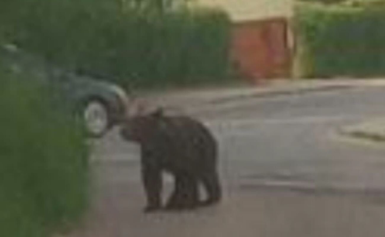 Prezydent Nowego Sącza apeluje o zachowanie ostrożności.