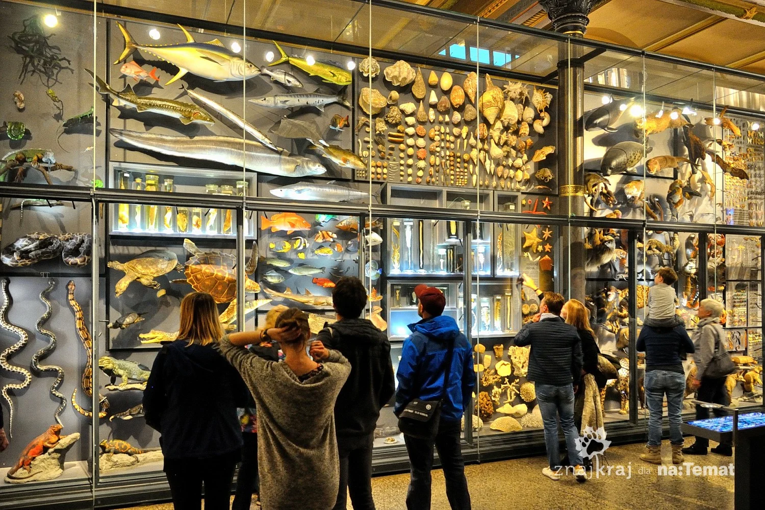 Muzeum Historii Naturalnej w Berlinie