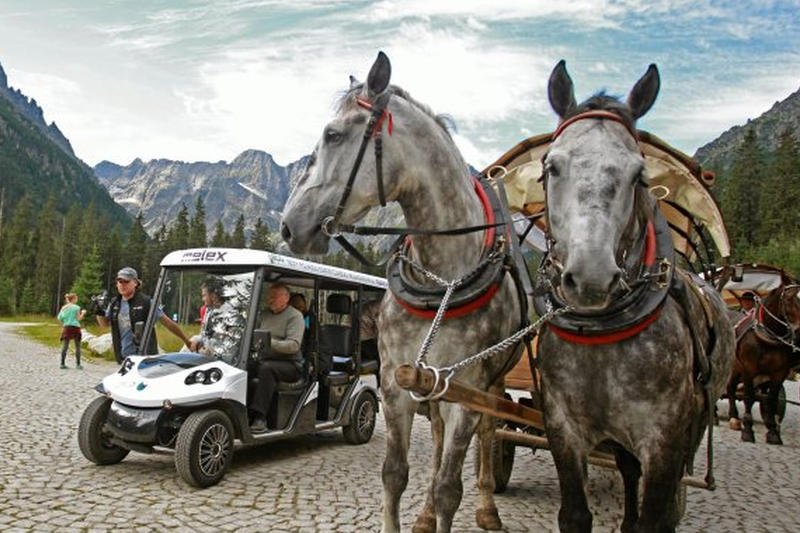 Meleksy i kasy fiskalne dla fiakrów. Posłowie chcą zmian nad Morskim Okiem
