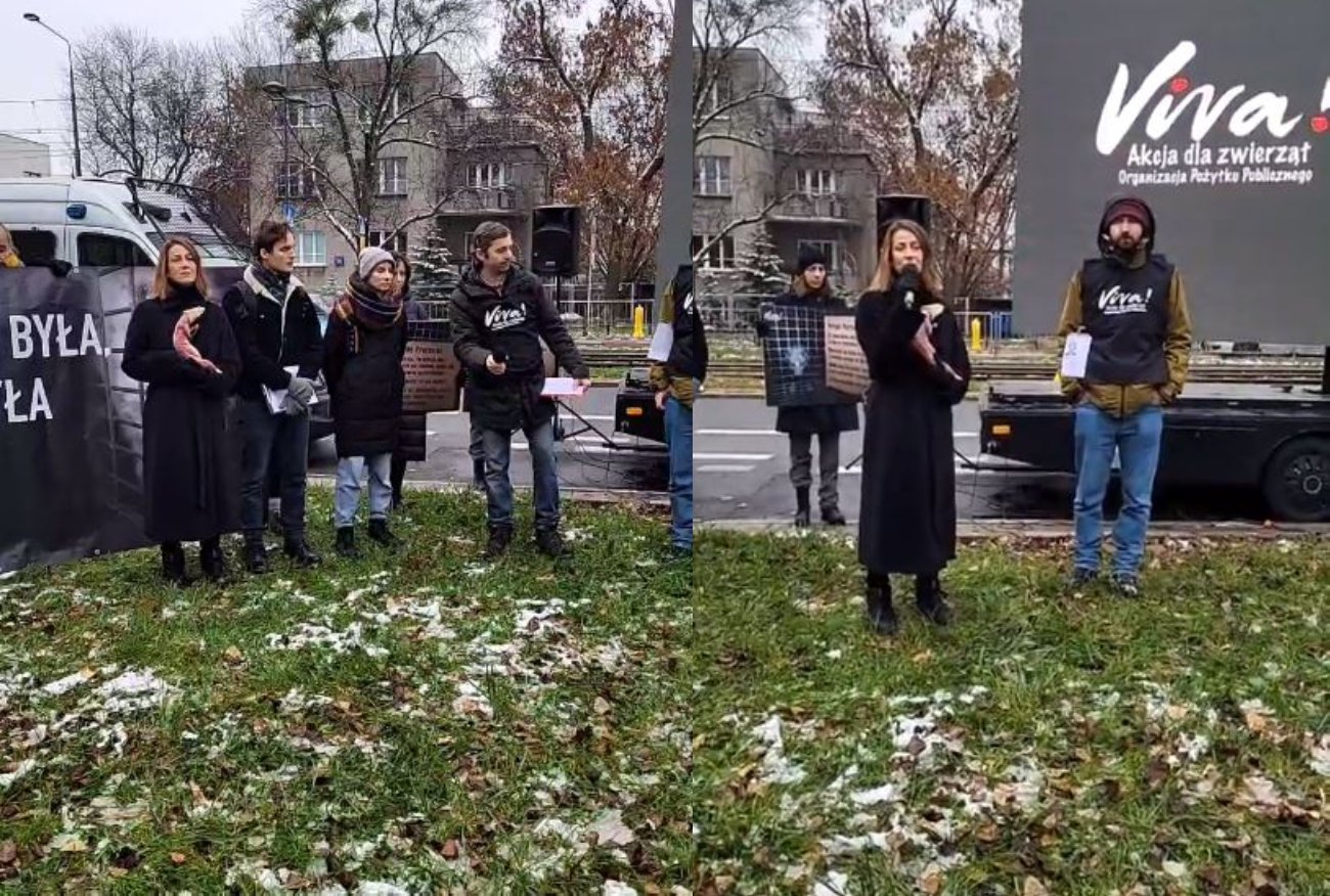 Protest pod domem Jarosława Kaczyńskiego. Na miejscu m.in. Ostaszewska.