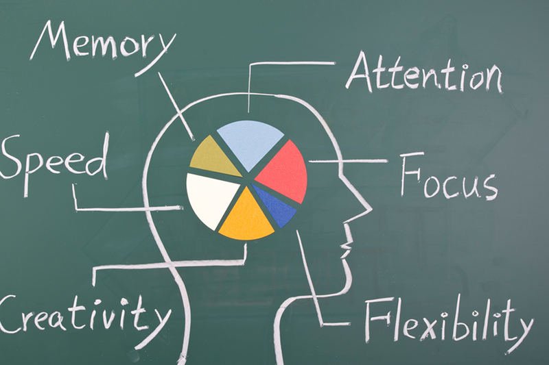 Prezydent Barack Obama zainwestuje w badania nad mózgiem