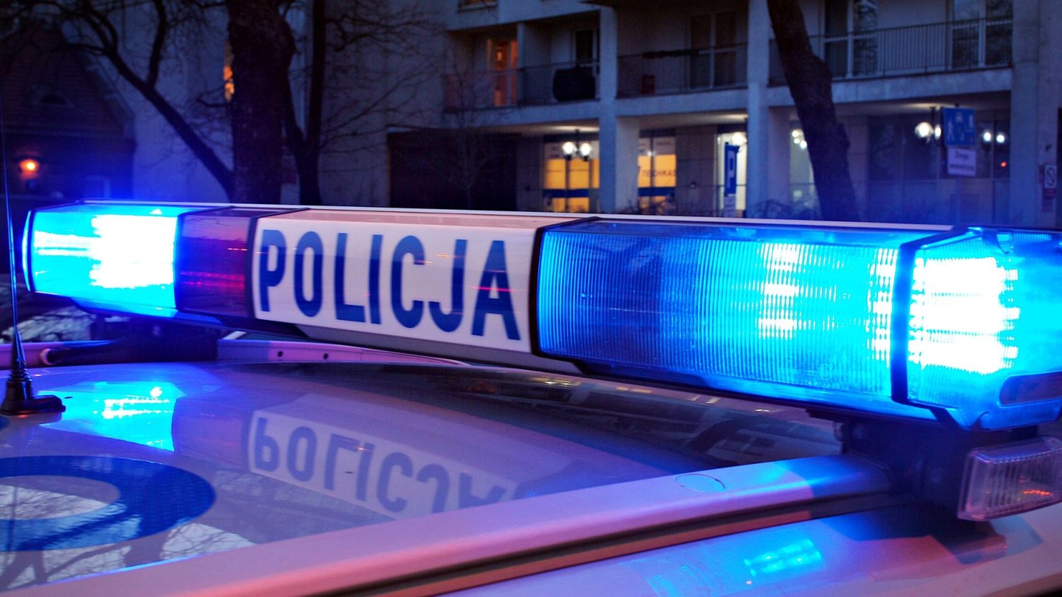 policja