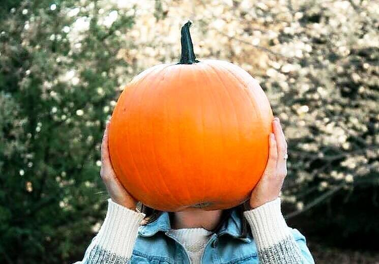 Najprostsza zupa z dyni  — przepis w 5 minut. Jak zrobić krem z dyni?