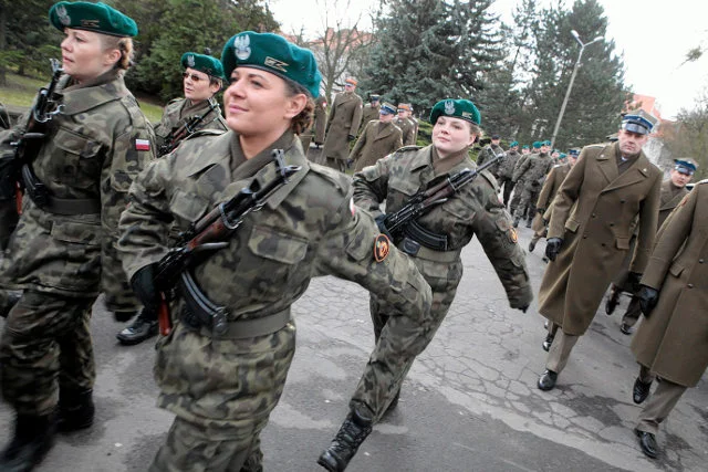 30 tysięcy ludzi to w ocenie specjalistów za mało, by realnie wesprzeć siły regularnego wojska