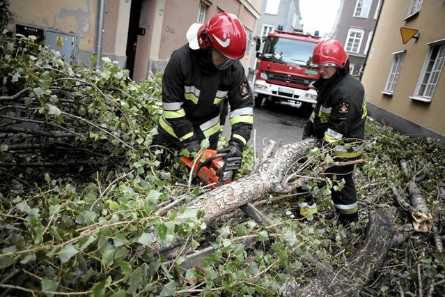 Strażacy będą dziś mieli pełne ręce roboty.