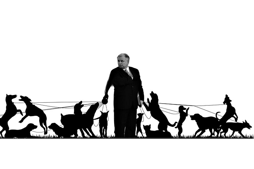 Jarosław Kaczyński wyprowadza media na spacer?