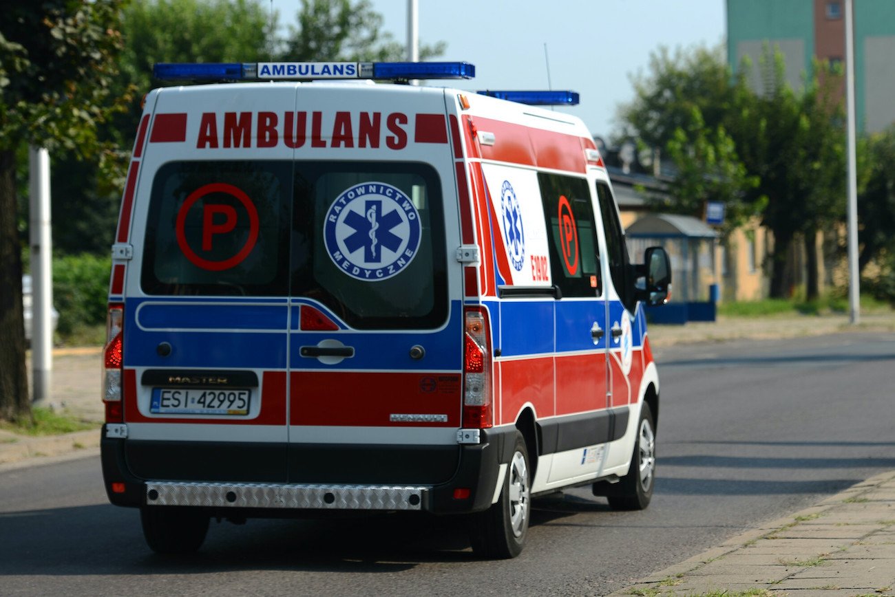 Nie żyje mężczyzna zaatakowany przez szerszenie. (Zdjęcie poglądowe)