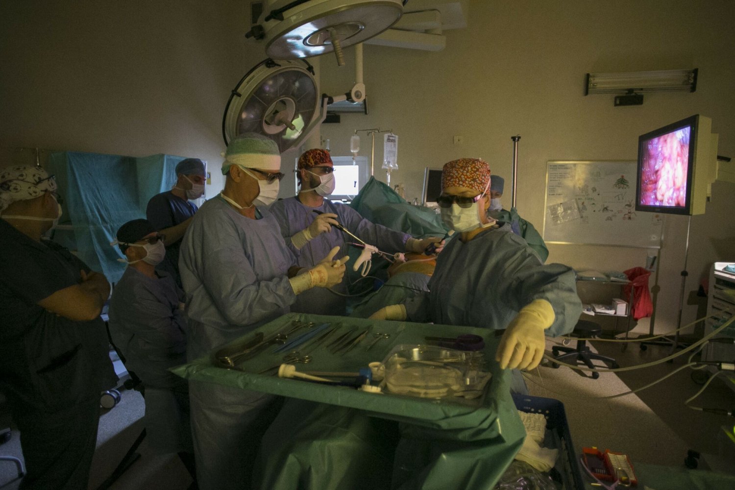 Liczba przeszczepów narządów jest w Polsce zbyt mała. Atak na polską transplantologię zaczęła liderka antyszczepionkowców Justyna Socha.