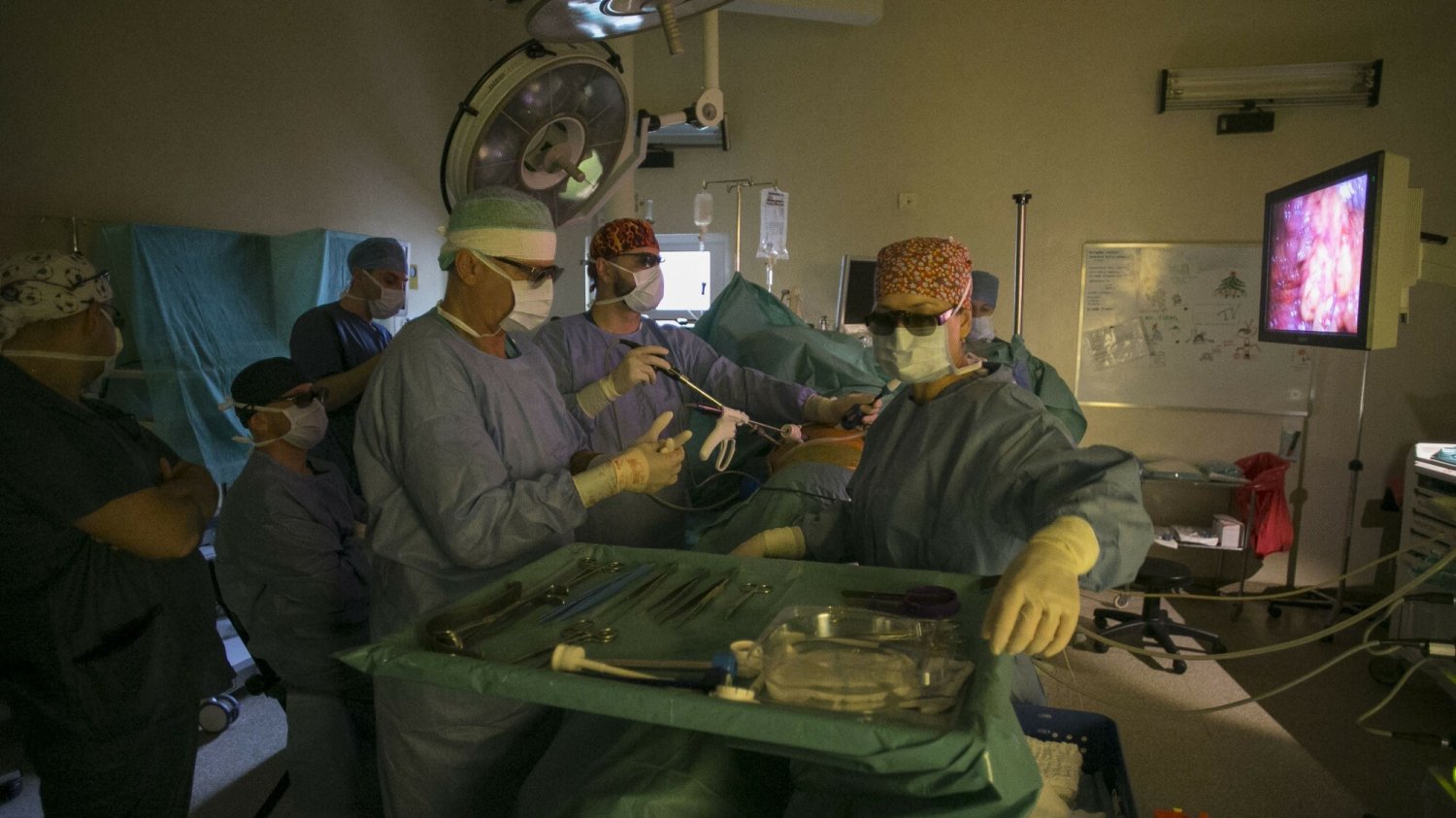 Liczba przeszczepów narządów jest w Polsce zbyt mała. Atak na polską transplantologię zaczęła liderka antyszczepionkowców Justyna Socha.