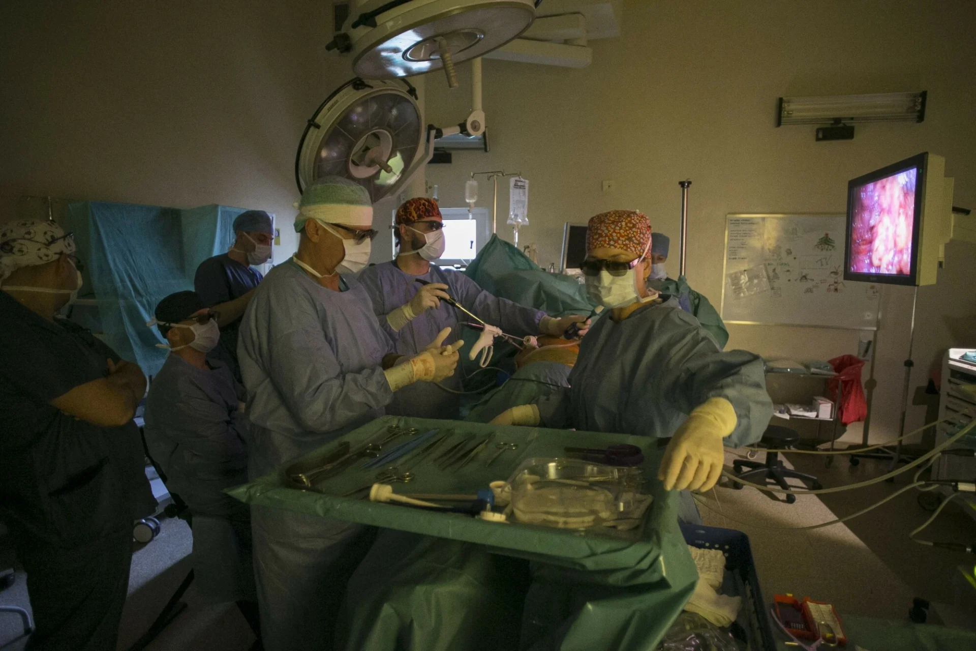 Liczba przeszczepów narządów jest w Polsce zbyt mała. Atak na polską transplantologię zaczęła liderka antyszczepionkowców Justyna Socha.