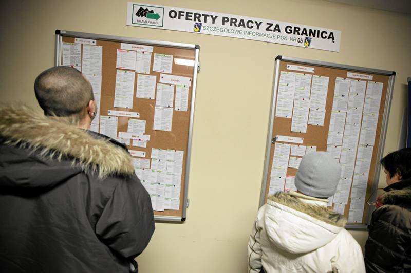 Tablica z ogłoszeniami w Urzędzie Pracy w Zielonej Górze