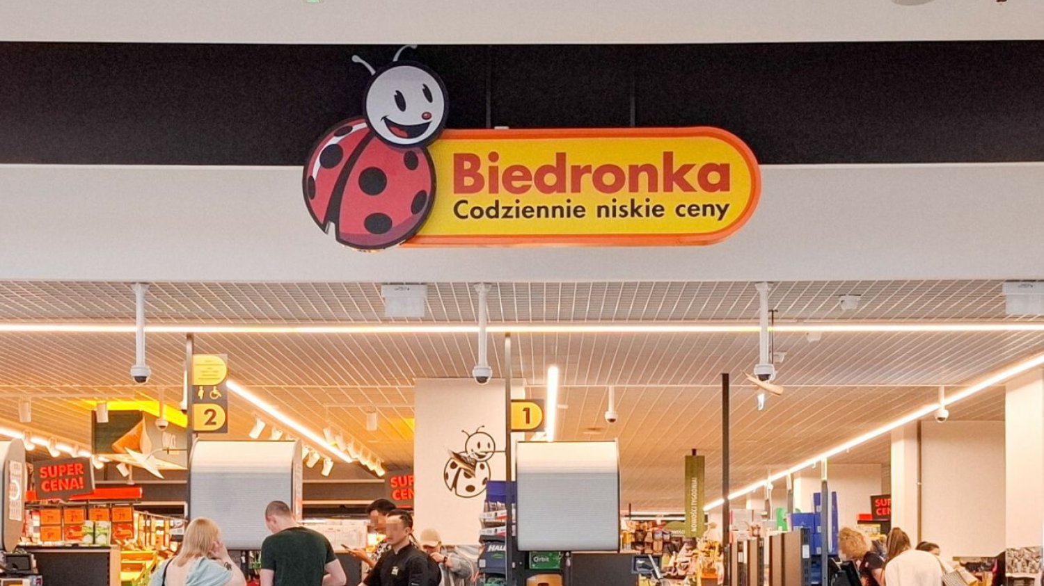 Uwaga na ten popularny produkt z Biedronki. GIS ostrzega przed groźną bakterią. Bakteria Salmonella w truskawkach Mroźna Kraina z Biedronki. GIS ostrzega.