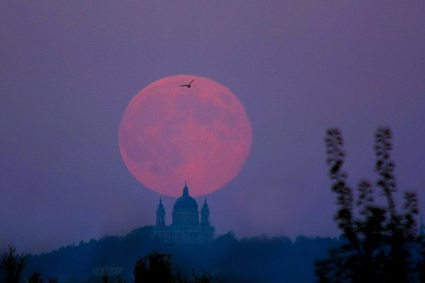 "Super Księżyc 2018" pojawi się 31 stycznia