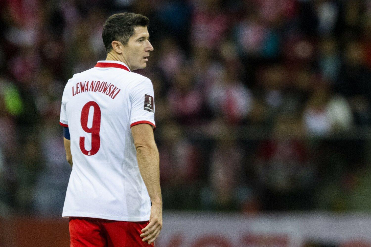 Meczem z Albanią Robert Lewandowski potwierdził swój piłkarski geniusz