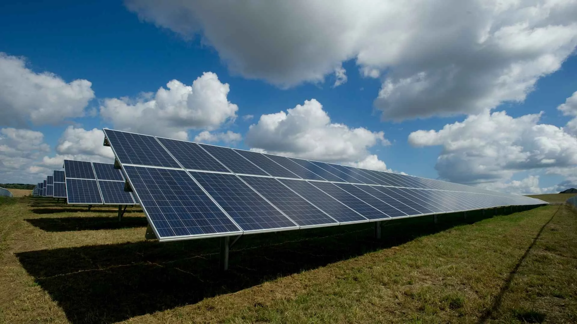 Populiści się zapłaczą. Globalna zmiana energetyczna jest już faktem