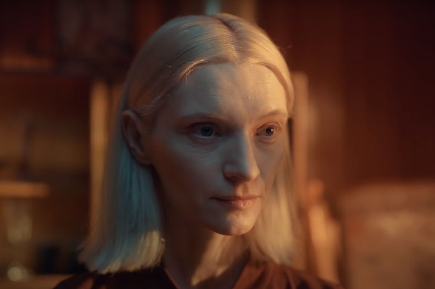 W jedną z postaci wcieliła się Agata Buzek