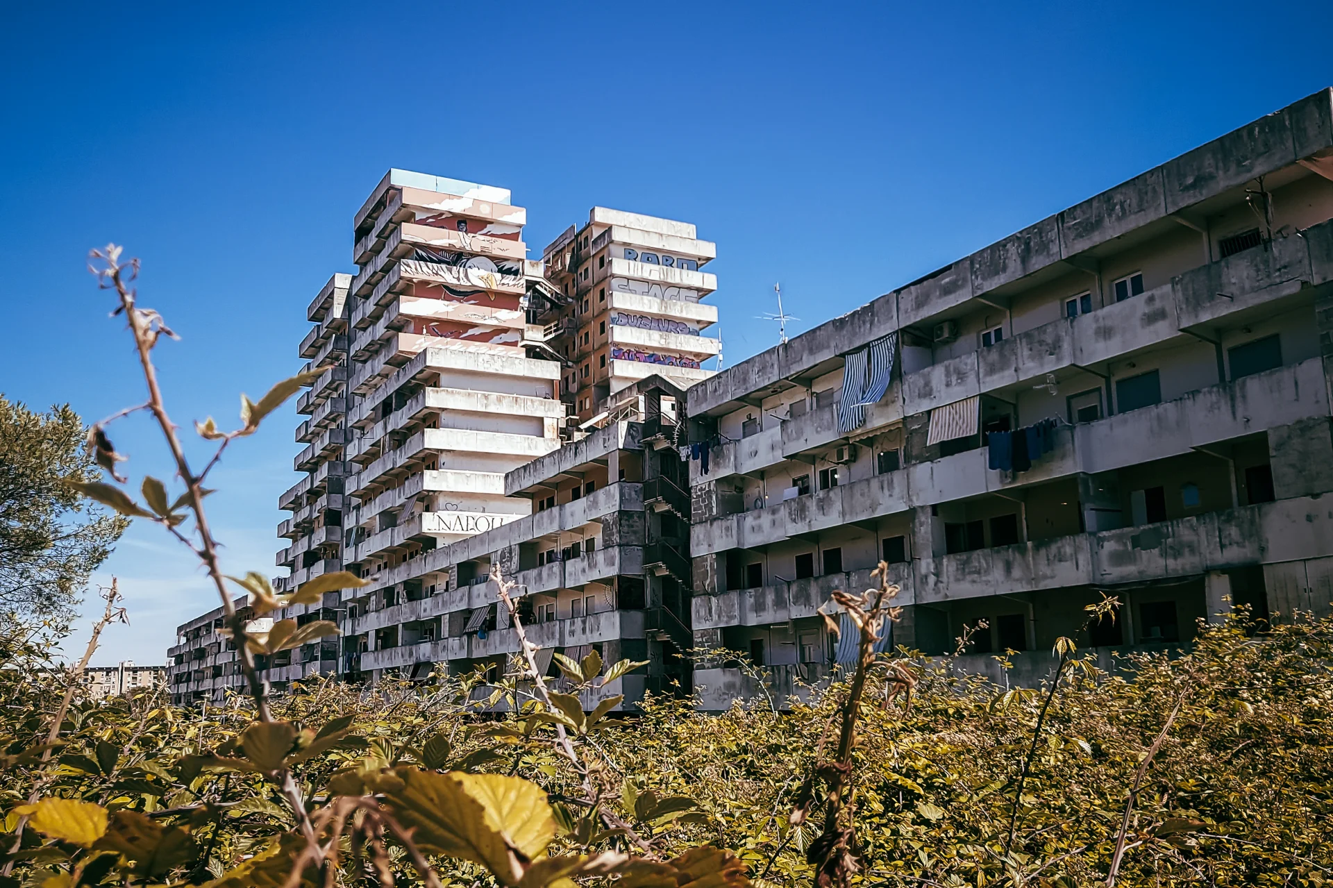 Scampia rzadziej bywa już miejsce, mafijnych porachunków, ale stała się atrakcyjna dla imigrantów. Scampia rzadziej bywa już miejsce, mafijnych porachunków, ale stała się atrakcyjna dla imigrantów.