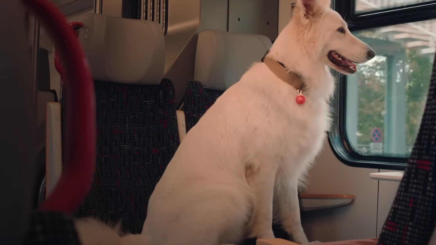 Pojawił się zwiastun filmu "O psie, który jeździł koleją 2".