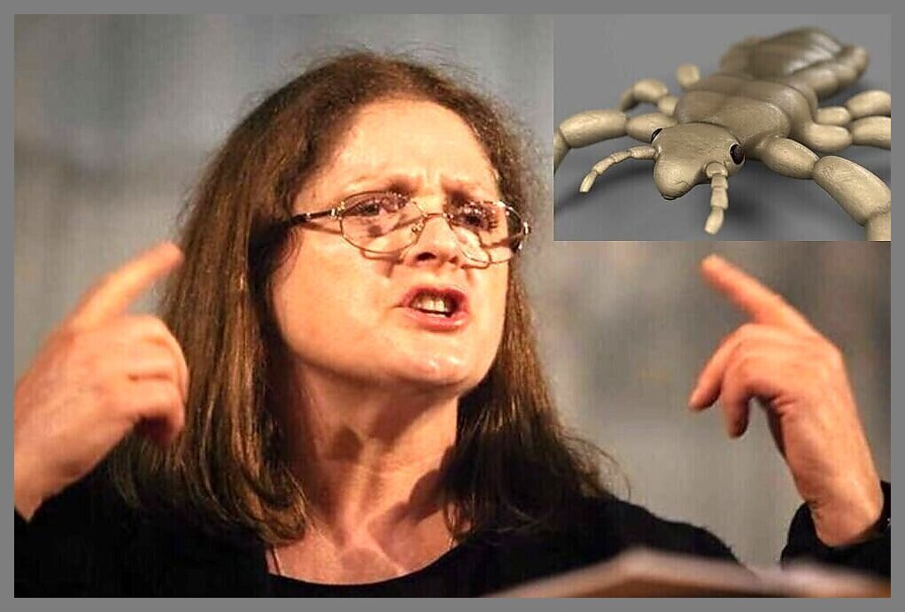 Krystyna Pawłowicz wywołała burzę na Twitterze analizując intencje producentów środków przeciwko wszom, którzy po wakacjach rozpoczęli akcję reklamową.