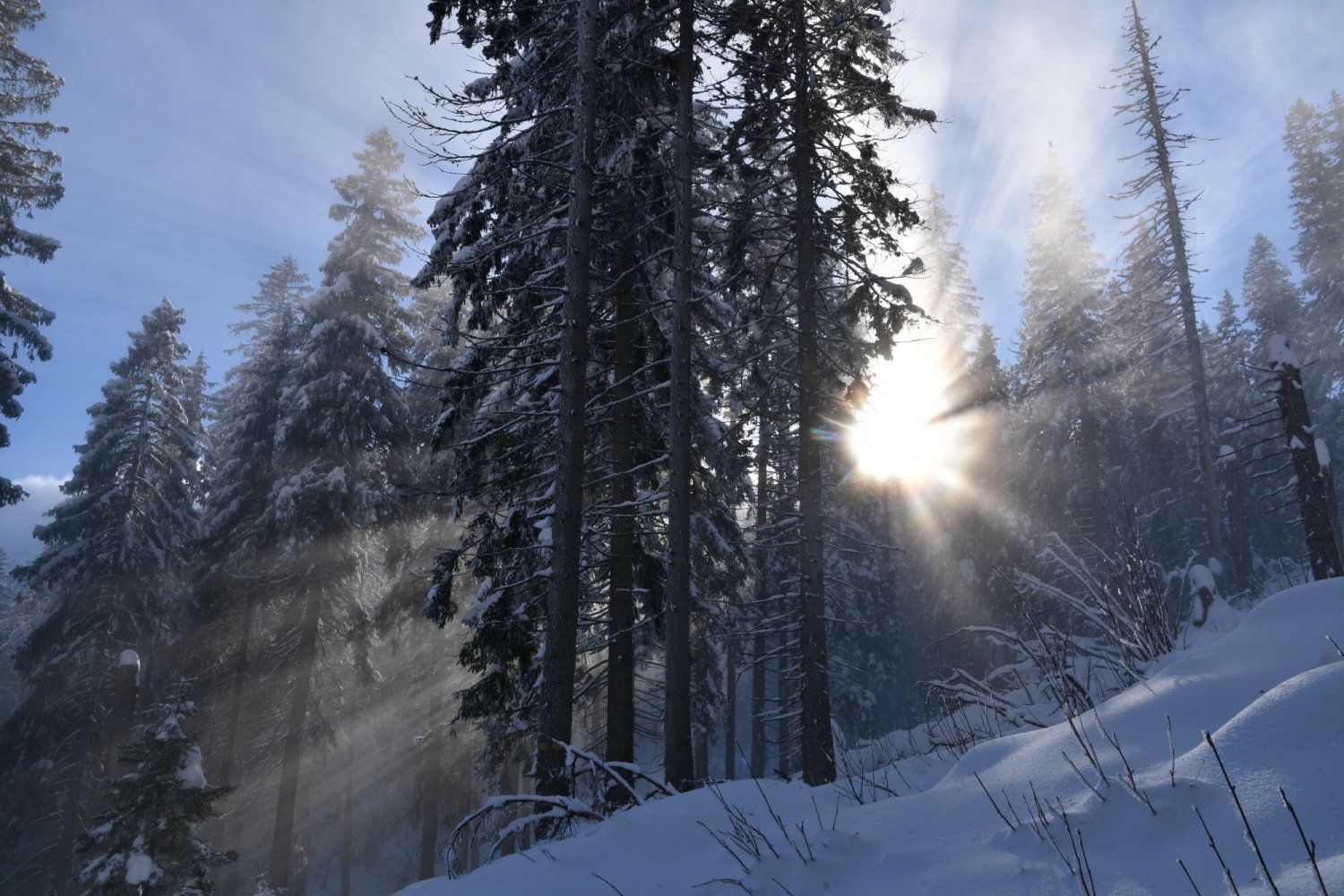 Pogoda przyniesie sporo przejaśnień, a wraz z nimi pojawią się niskie temperatury.