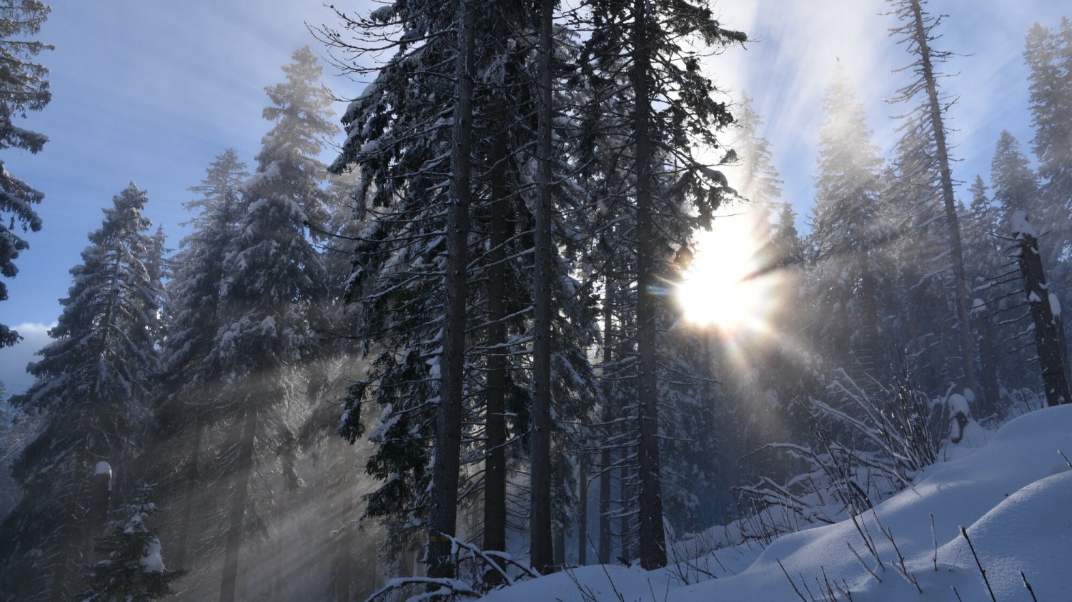 Pogoda przyniesie sporo przejaśnień, a wraz z nimi pojawią się niskie temperatury.