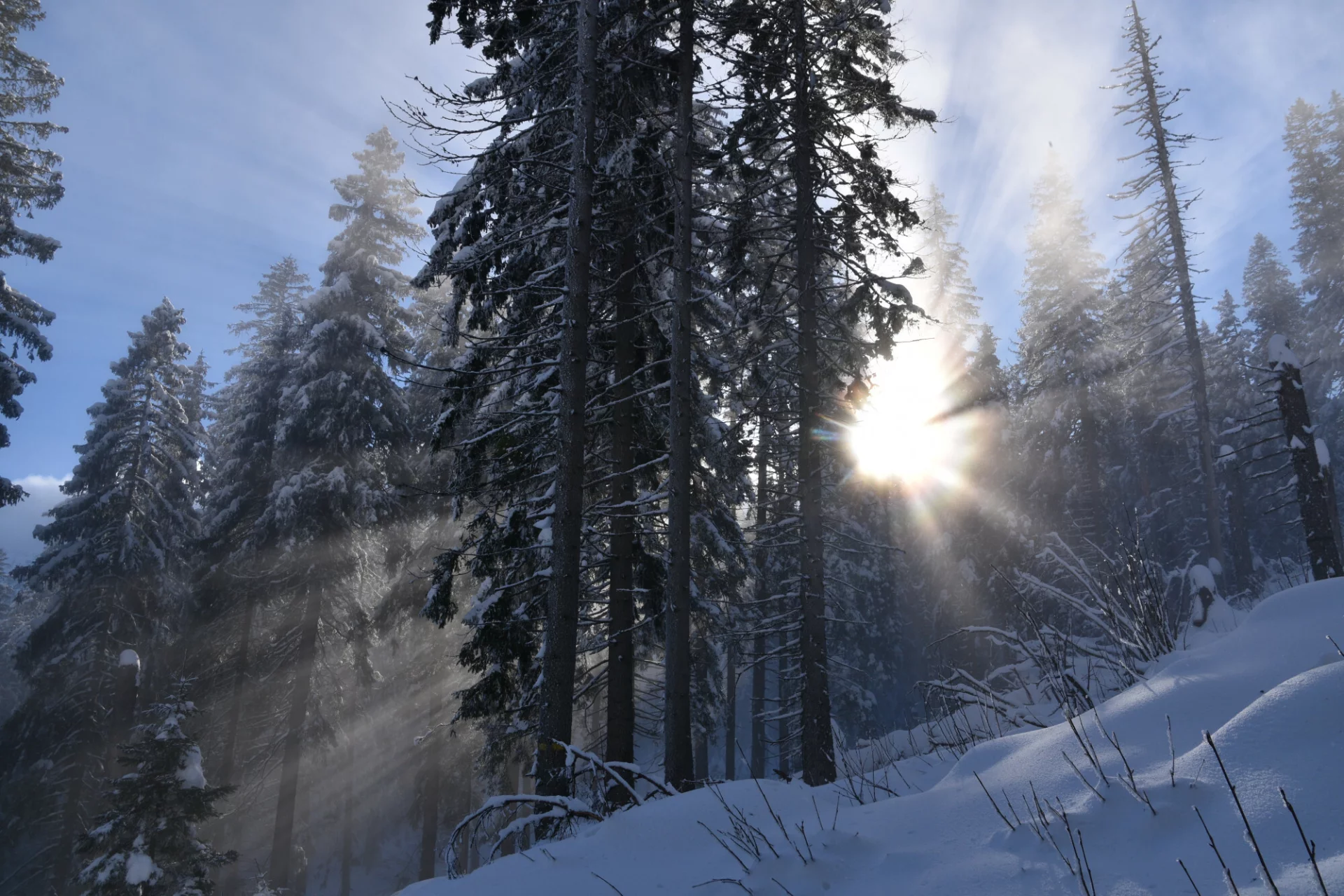 Pogoda przyniesie sporo przejaśnień, a wraz z nimi pojawią się niskie temperatury.