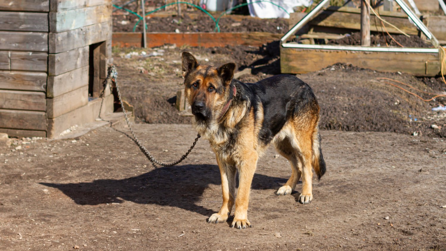 Wrze po głosowaniu w Sejmie ws. weta Nawrockiego. "PiS potulnie podkulił ogon"